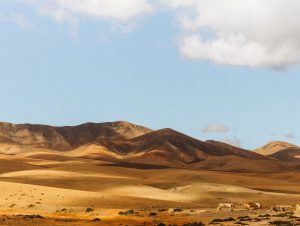 Fuerteventura